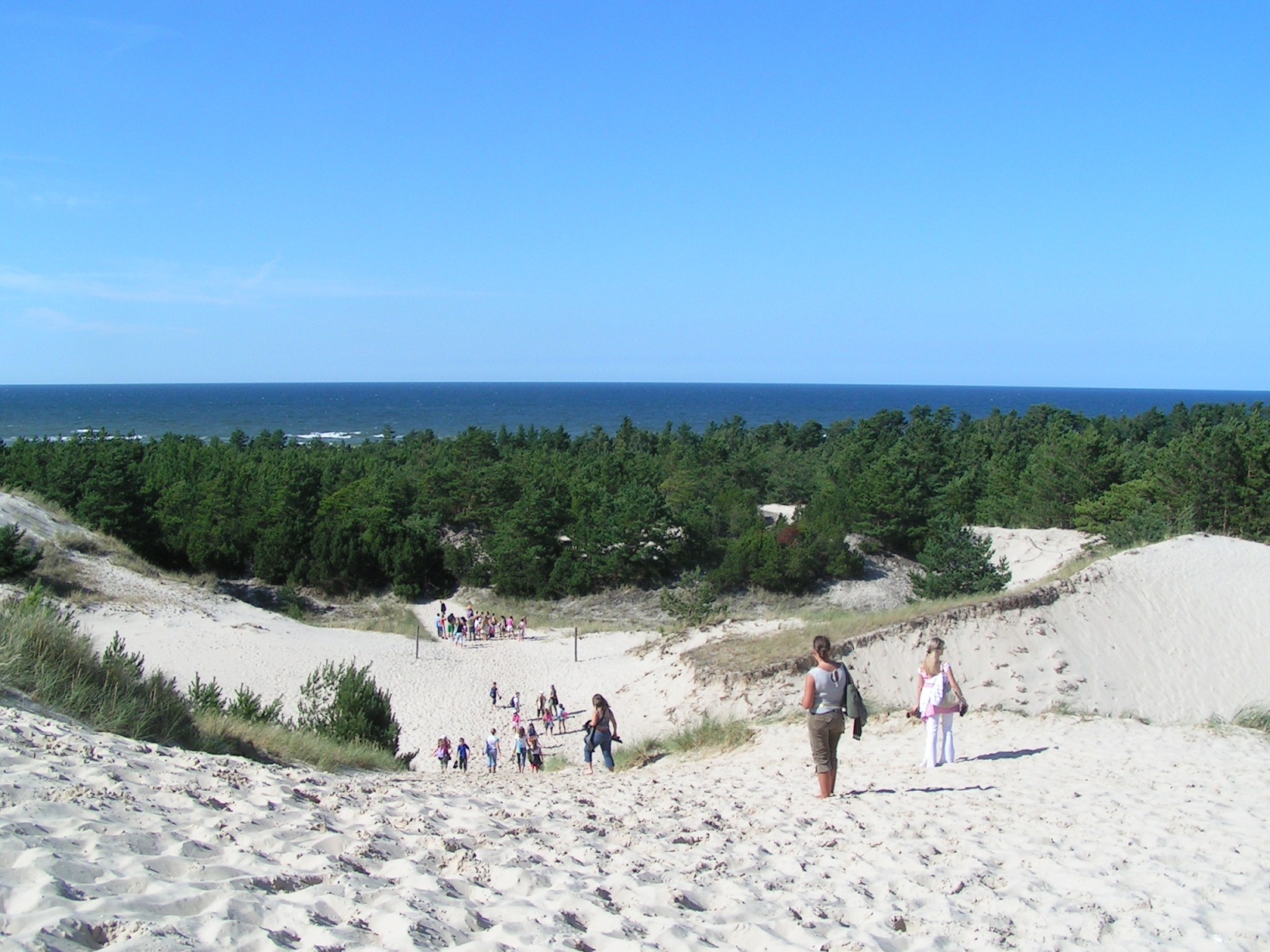 MINOLTA DIGITAL CAMERA