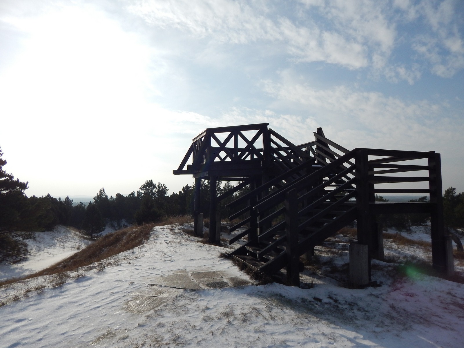 Platforma-widokowa.-Smołdziński-Las-Czołpino