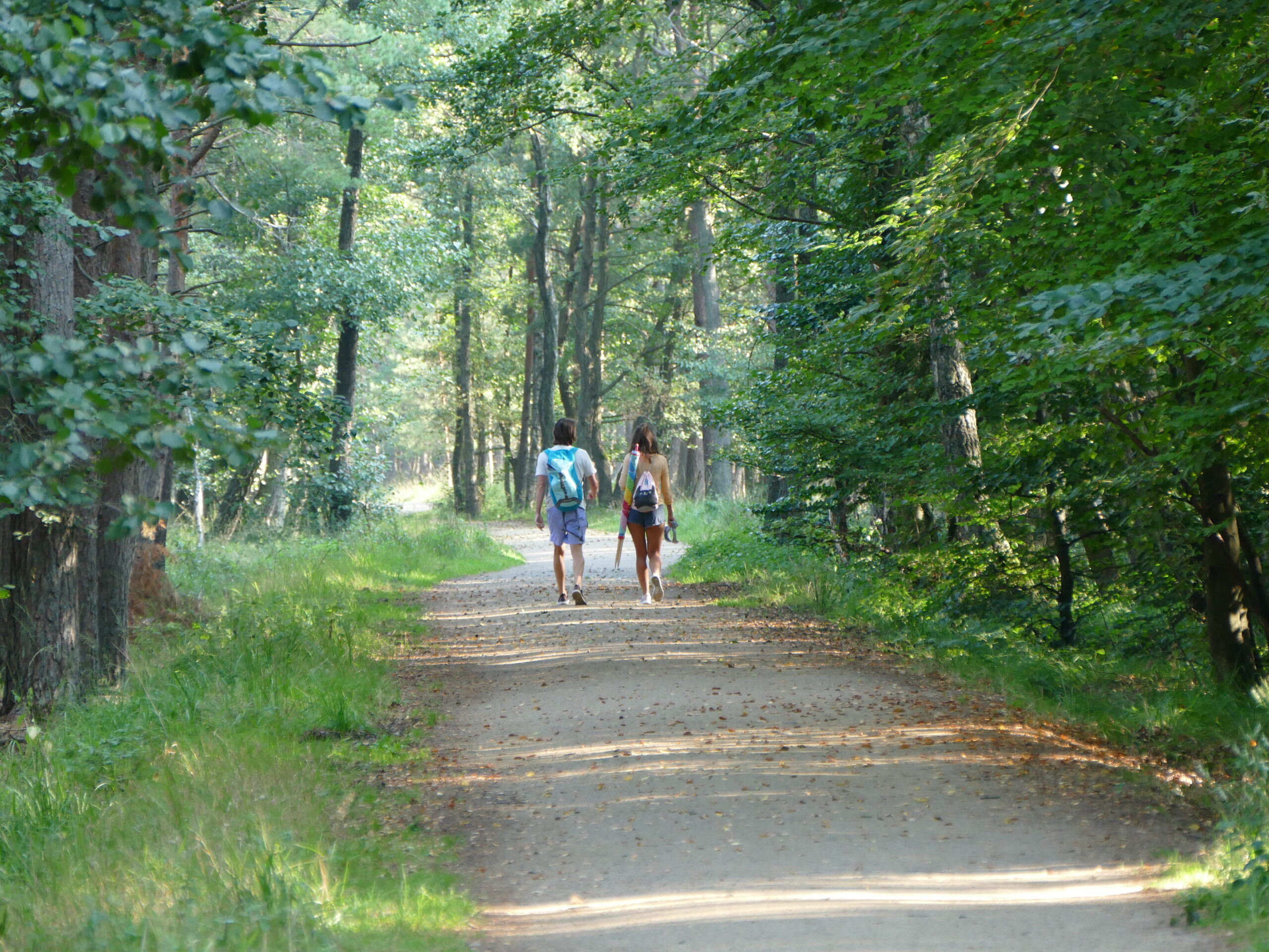 Smołdziński Las szlaki piesze i rowerowe