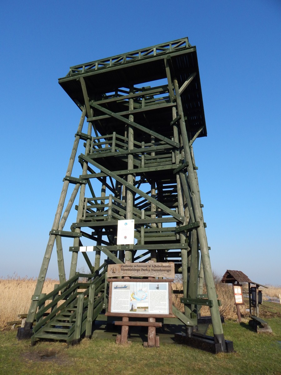 Wieża-widokowa-Kluki-Smołdziński-Las