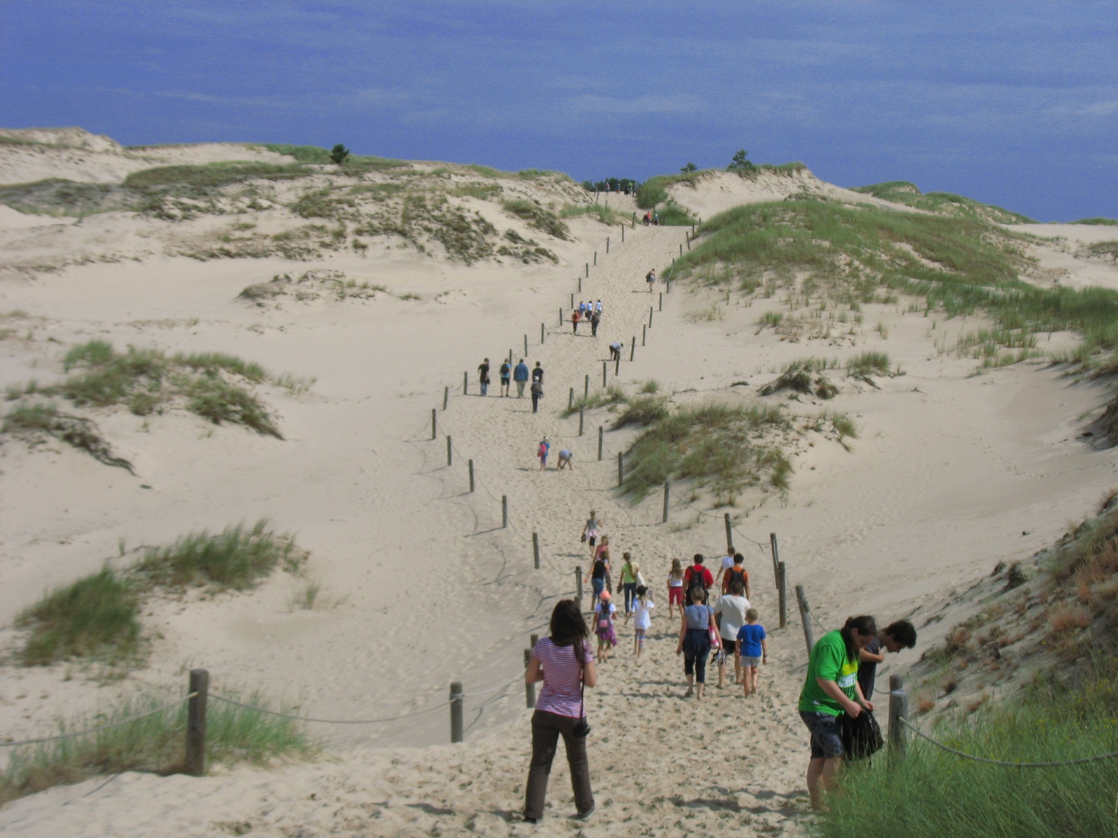 kolonia-smołdziński-las-1