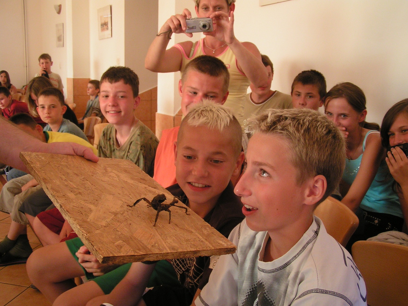 MINOLTA DIGITAL CAMERA