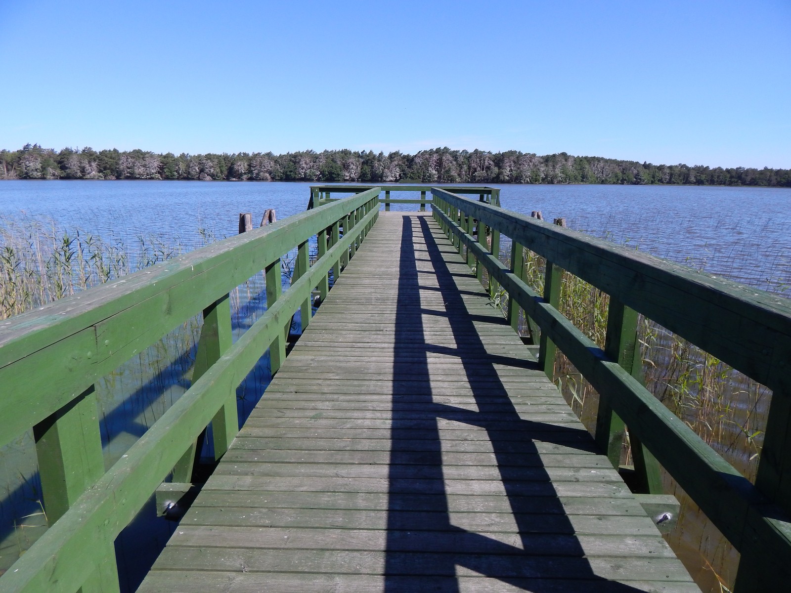 pomost-widokowy-Dołgie-DAJA-ośrodek-wypoczynkowy