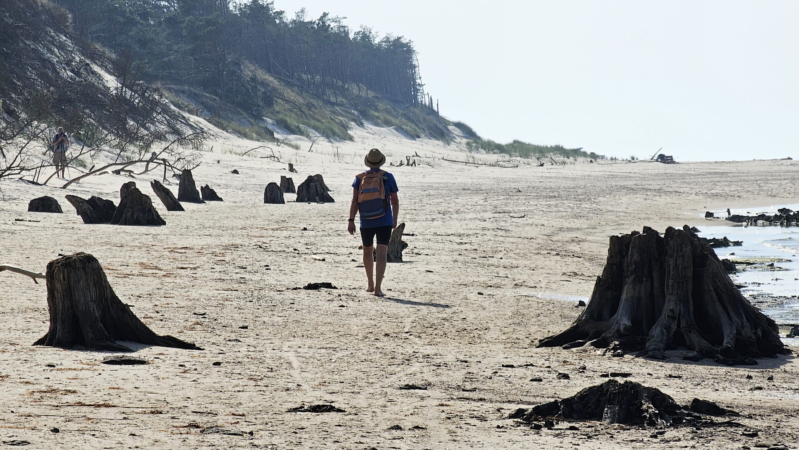zatopiony las koło Czołpina
